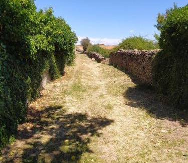 Noviercas Casa | Alojamiento Rural La Arboleda