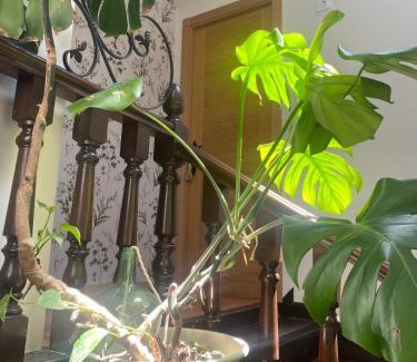 San Vicente de la Barquera Apartamento | Alojamiento Rural Monterey