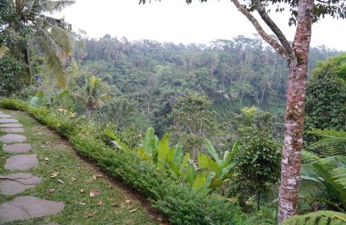 Sebatu Cama Y Desayuno | Alokavati Homestay