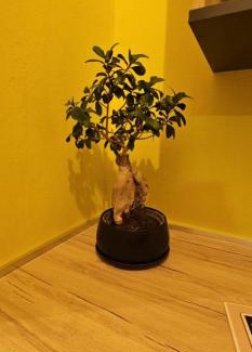 Kefalos Apartamento | Alora House 2