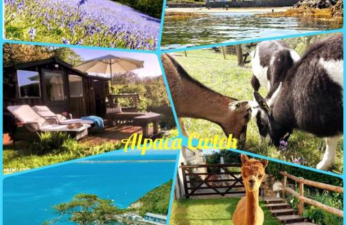 Goodwick Cabina | Alpaca Cwtch - Pembrokeshire, West Wales