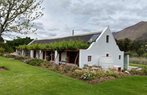 Montagu Apartamento | Alpaca Inn