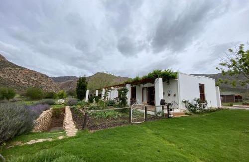 Montagu Apartamento | Alpaca Inn