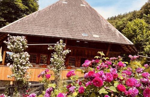 Wynigen Apartamento | Alpaka-Ferienhaus Oenzlen