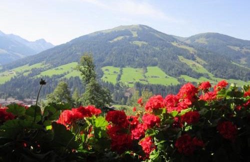 Alpbach Apartamento | Alpbachblick
