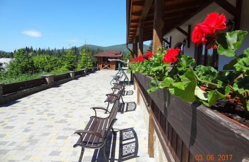 Slavske Hotel | Alpenhof Pansion