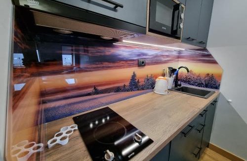 Jahorina Apartamento | Alpha lux C520 - Aparthotel Vucko - Privatni apartman