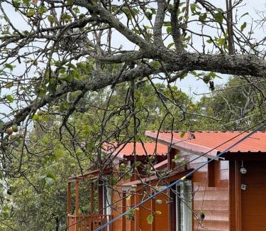 Kodaikanal Casa | Alphines View Wooden Cottages