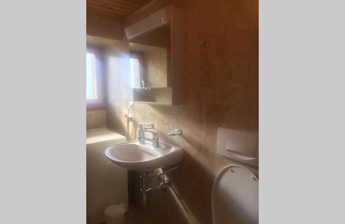 Gasenried Apartamento | Alpia 26 - Zwei Zimmerwohnung in traditionellem Walliser Haus