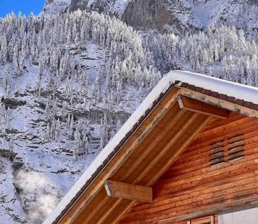 Kandersteg Apartamento | Alpine Chalet