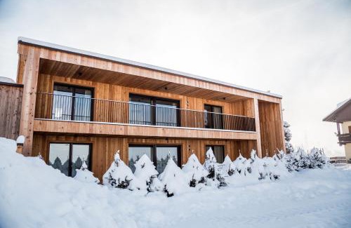 Luns Chalet De Esquí | Alpine Chalets App. Pichlerhof