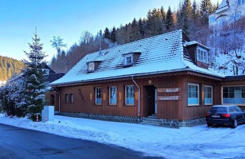 Wildemann Apartamento | Alpine Escape in Wildemann, cleaning included