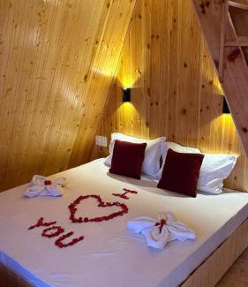 Shangarh Casa | Alpine Lodge And Stays