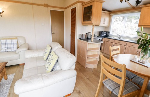 Rhyd-y-foel Cabaña | Alpine Lodge, RHYD-Y-FOEL
