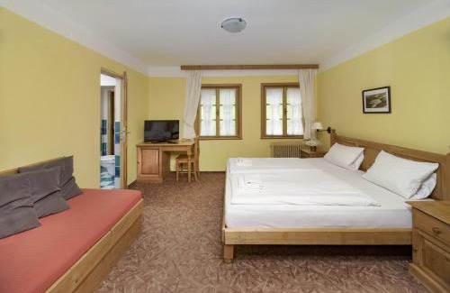 Spindleruv Mlyn Hotel | Alpský Hotel