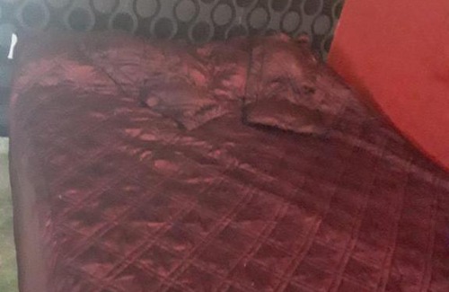 San Clemente Apartamento | Alquileres Paola