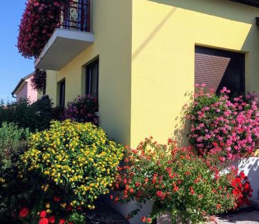 Oberhergheim Apartamento | ALSACE Gîte 3étoiles prox Marchés de Noël Colmar, Eguisheim, parking, calme