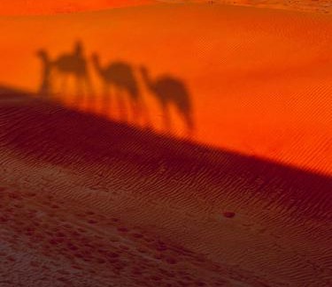 Bidiya Otro | Alsarmadi Desert Camp