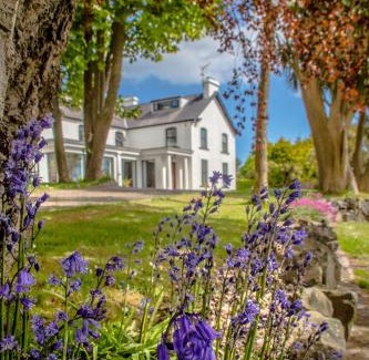 Whitehead Cama Y Desayuno | Altahammond House