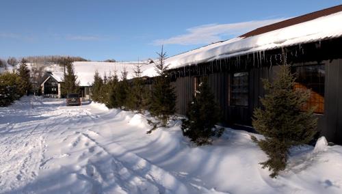 Kazakhstan Cabina | Altai Mountains Resort