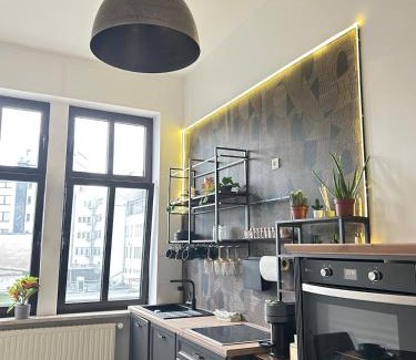 Saarbruecken Apartamento | Altbau-Juwel, Antik trifft Modern im Denkmalhaus