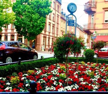 Weststadt Apartamento | Altbauwohnung am Gutenbergplatz