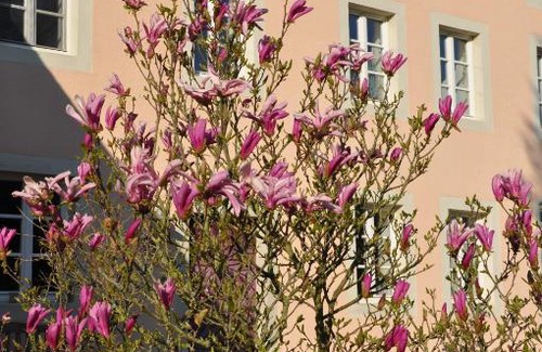 Messerich Apartamento | Alte Schmiede in denkmalgeschützter Hofanlage
