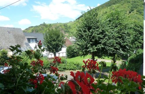 Ellenz Cama Y Desayuno | Alte Weinstuben Steinfelder Hof Garni