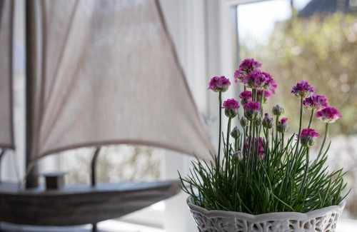 Witzwort Apartamento | Alte Werkstatt