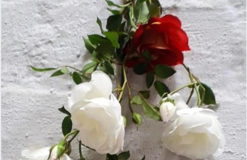 Swakopmund Cama Y Desayuno | Alternative Space B & B