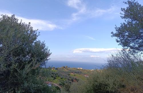 Xylokastro-Evrostina Apartamento | Altheas Maisonettes