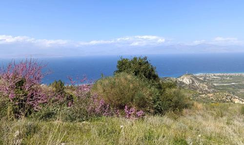 Xylokastro-Evrostina Apartamento | Altheas Maisonettes