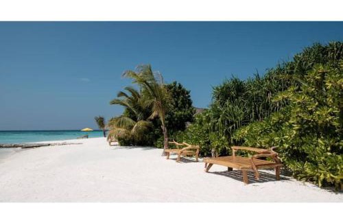 Dhidhoofinolhu Island Complejo | Aluoly 23 Private Resort