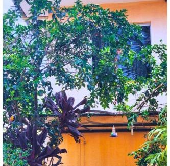 Padre Eustaquio Casa | Alure