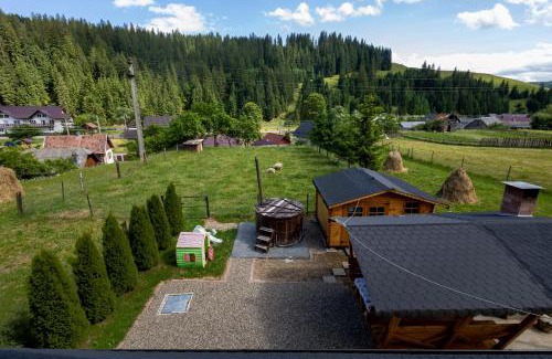 Vatra Moldovitei Casa | Alvi