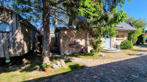 Zempin Apartamento | Am Rieck - Ferienhaus "Kurfürstenstraße"