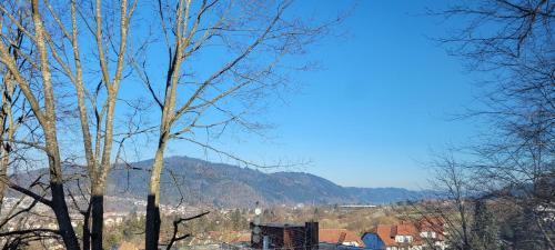 Waldkirch Apartamento | Am Wald