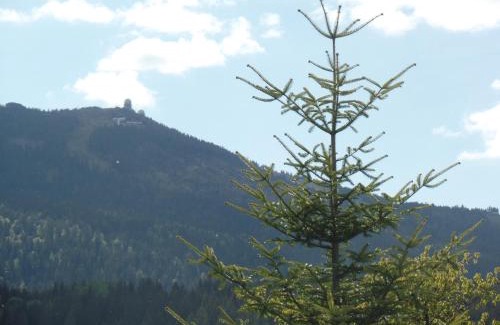 Bayerisch Eisenstein Apartamento | Am Waldrand