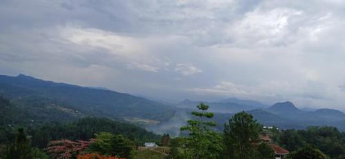 Moragolla Casa | Ama Residency & Homestay Kandy