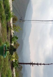 Almora Chalet De Esquí | Aman Homestay