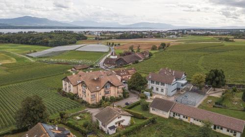 Duillier Apartamento | Amanthos Living Nyon