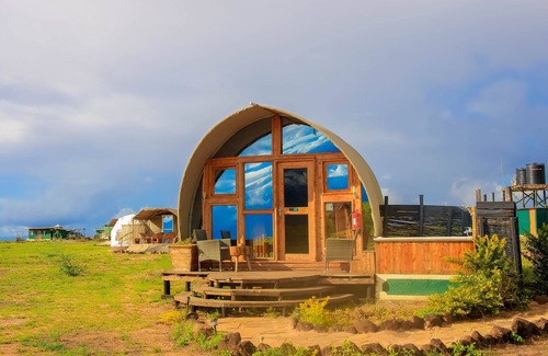 Amboseli Alquiler De RV | Amanya 1 -bed King Lion Tent