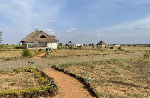 Kimana Cabina | Amanya 1- Bed Pitch Tent