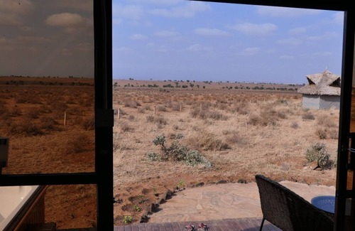 Amboseli Cabina | Amanya 2-Rooms Lioness Family