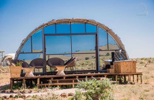 Amboseli Cabina | Amanya 2-Rooms Lioness Family