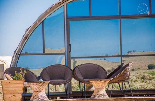 Amboseli Cabina | Amanya 2-Rooms Lioness Family