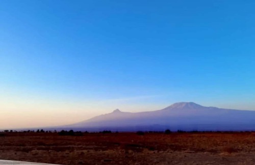 Amboseli Cabina | Amanya Star Bed Amboseli
