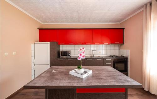 Galovac Casa | Amazing Home In Galovac With Kitchen