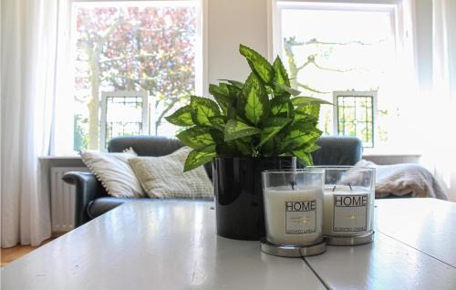 Scharendijke Casa | Amazing Home In Scharendijke With Wifi