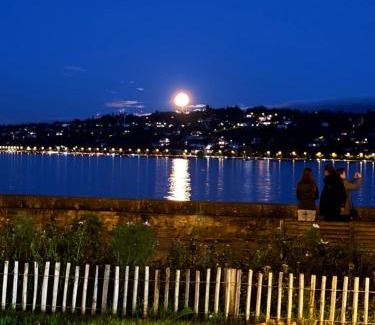 Jargonnant Apartamento | Amazing location Geneva , Eauv-Vives